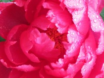 Preview - Click to zoom
